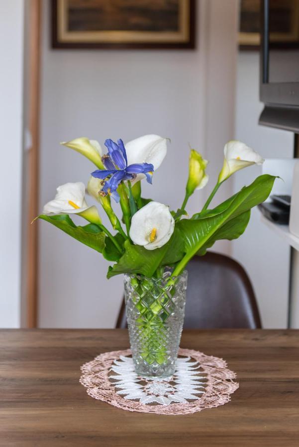 Studio Apartment Vittoria Lovran Εξωτερικό φωτογραφία